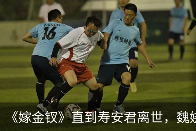 《嫁金钗》直到寿安君离世，魏娆才明白，君黛之后还有强敌