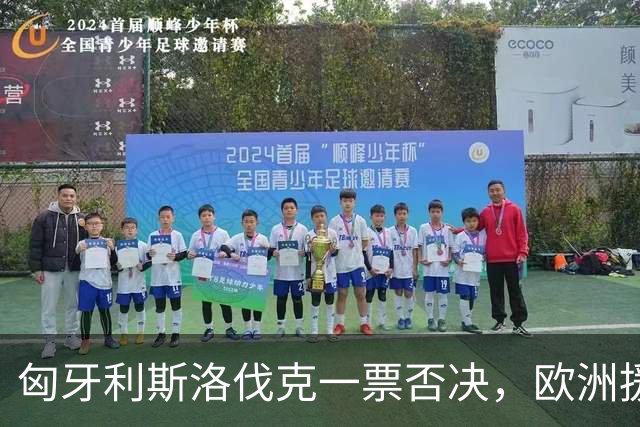 匈牙利斯洛伐克一票否决，欧洲援乌贷款卡壳，对俄执行力被剥掉