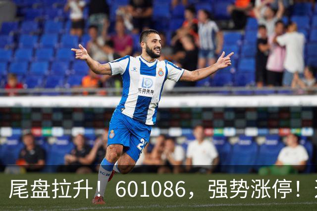 尾盘拉升！601086，强势涨停！这一板块逆市爆发