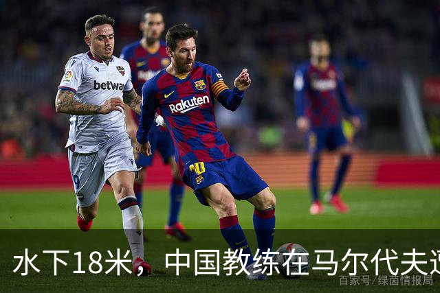 水下18米，中国教练在马尔代夫遭3名外籍潜水员围攻，拉拽、踢踹，呼吸调节器和面镜差点被摘！涉事船宿方：已提交调查