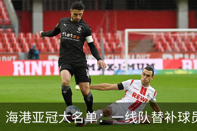 海港亚冠大名单：一线队替补球员+U23球员为主体