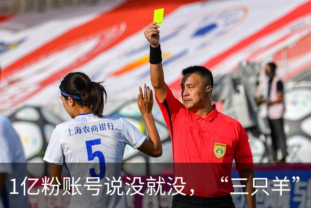 1亿粉账号说没就没，“三只羊”小杨哥换“庆杨”马甲复播