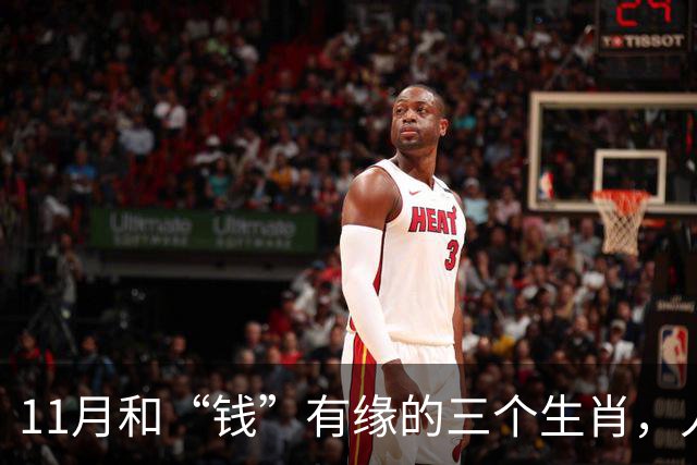 11月和“钱”有缘的三个生肖，人缘好人聪明，赚钱总有路可走