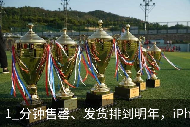 1 分钟售罄、发货排到明年，iPhone Duo 卖爆背后的真相